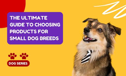 The Ultimate Guide to Choosing Products for Small Dog Breeds