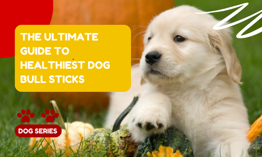 The Ultimate Guide to Healthiest Dog Bull Sticks