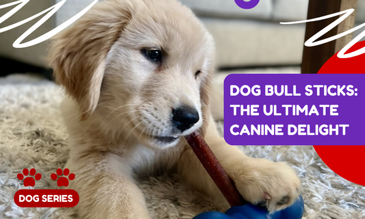 Dog Bull Sticks: The Ultimate Canine Delight