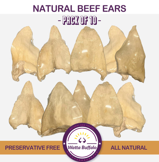 WATTA BUFFALO Natural Beef Ears - (PACK OF 10)