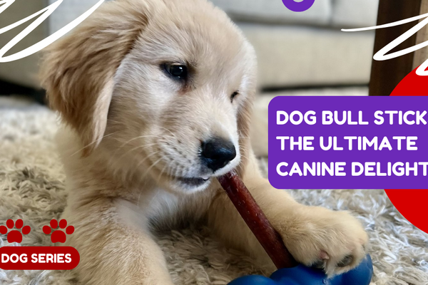 Dog Bull Sticks: The Ultimate Canine Delight