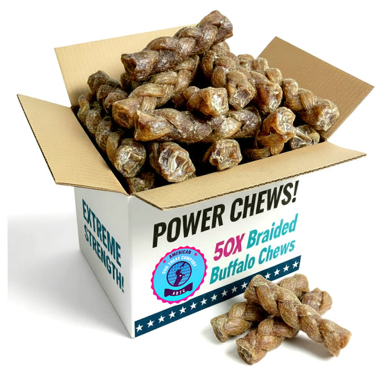 6" Braided Buffalo Ligament Dog Chews (Paddywack) – Natural, Single‑Ingredient, Long‑Lasting Dog Treats (Pack of 50)